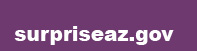 Surprizeaz.gov